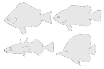cartoon illustration of fishes set