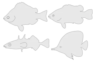 Foto auf Alu-Dibond cartoon illustration of fishes set © 3drenderings