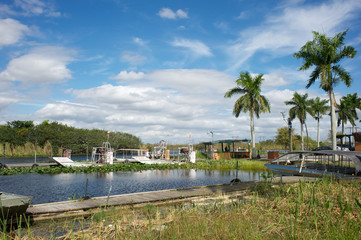Fototapeta na wymiar Everglades - Floryda