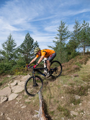 Fototapeta na wymiar Mountain biker riding trails in Wales