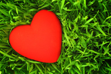 Red heart on green grass background