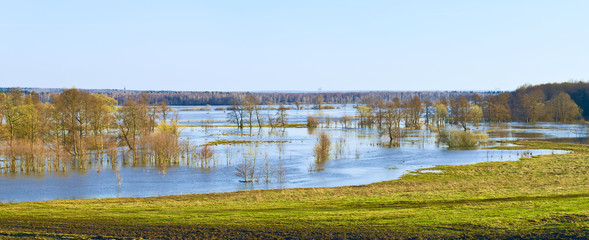 Spring flood. Sukhodrev river, Kaluga region, Russia