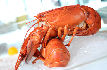 Delicious lobster
