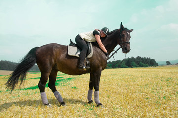 Equestrienne and horse.