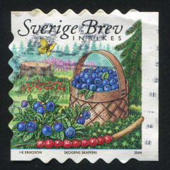 Wild strawberries, butterfly and basket of blueberries