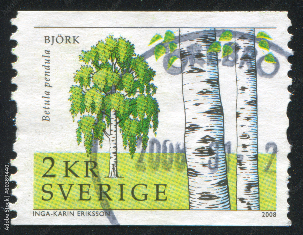 Poster Sweden Birch