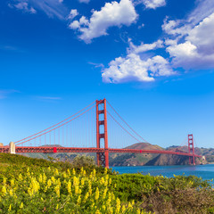 Golden Gate Bridge San Francisco from Presidio California - obrazy, fototapety, plakaty