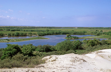 Parc ornithologique; domaine du Marquenterre; Baie de somme; 80