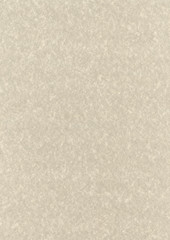 Natural parchment recycled paper texture