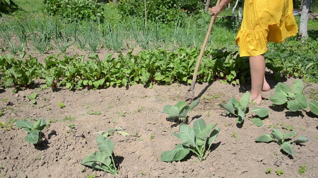 Barefoot girl in yellow dress grub weeds with hoe in garden