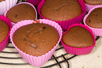freshly baked  chocolade  muffins cooling on metal tray