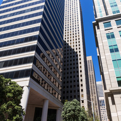 San Francisco Downtown buildings at California