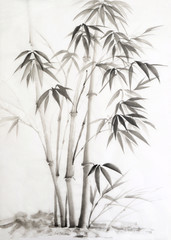 Akwarela malarstwo bambusa - 60401807