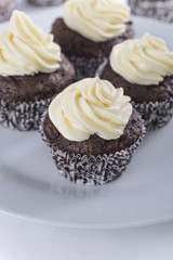 Chocolate cupcakes with vanilla frosting