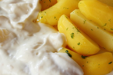 Matjesfilet in Apfel-Sauerrahmdressing mit Salzkartoffeln