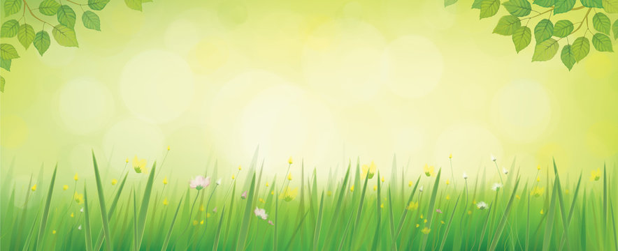 Vector nature background.