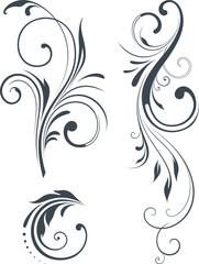 vector_scroll_design