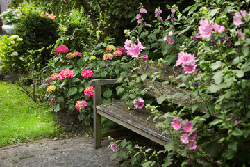 Country-style garden with bench and flowers
