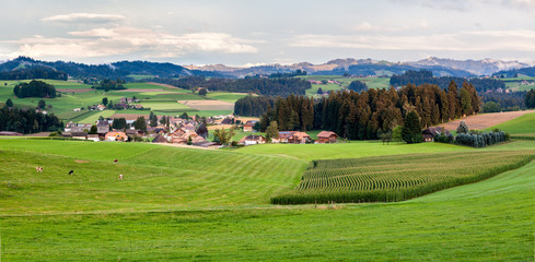 Fototapeta na wymiar Paesaggio a Gruyere, Svizzera