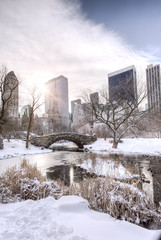Central Park,New York © anastasios71