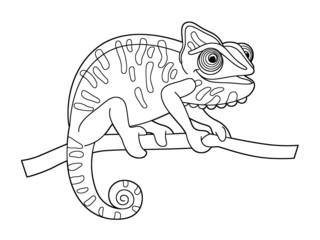 Coloring page - animal - illustration for the children