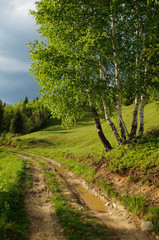 Beautiful tranquil country road