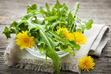 Dandelions greens and flowers