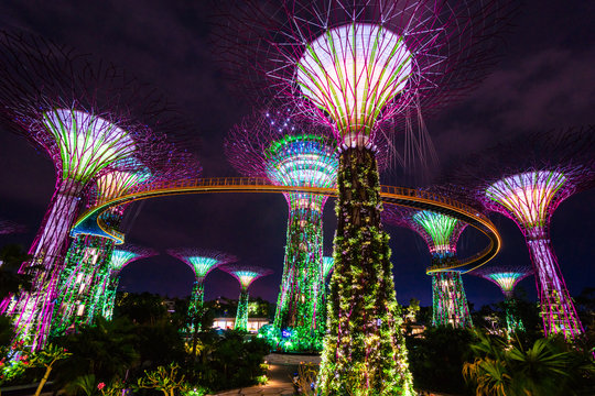 Garden by the Bay - Singapore