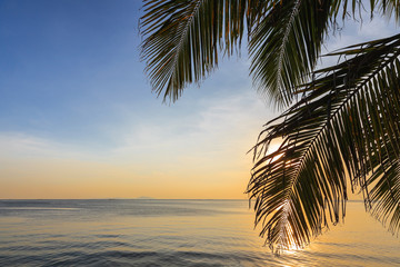 sunset at tropical sea and coconut leaf