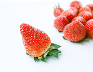 Fresh organic strawberries