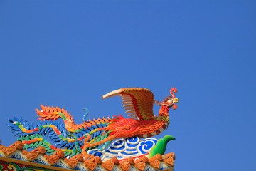 Fototapeta premium china phoenix on the roof