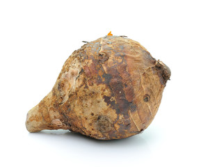 taro roots on white background