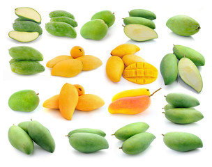mango collection isolated on a white background
