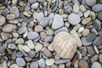 pebbled texture