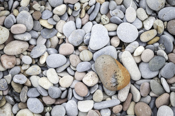 pebbled texture