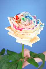 White flower colorized different paints, on blue background