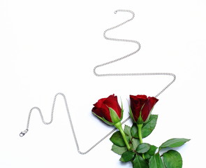 Rose mit Silberkette