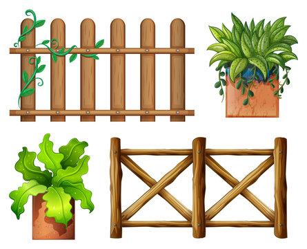 Wooden fence and potted plants
