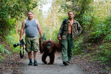 Photographers walk with orangutan. - obrazy, fototapety, plakaty
