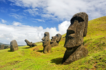 Rano Raruku Moai - obrazy, fototapety, plakaty