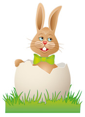 Osterhase im Ei