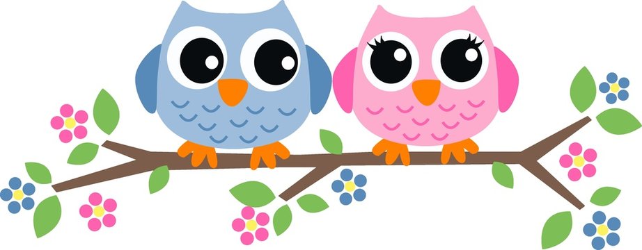 two sweet owls header picture