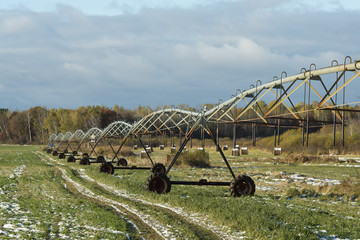 Alfalfa Field with a Sprinkler