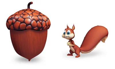 Selbstklebende Fototapeten Squirrel with nut © pankajstock123