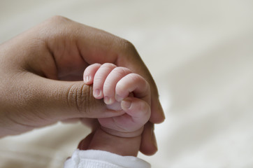Baby hand holding an adult's finger - 60424213
