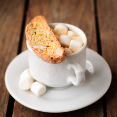 Fototapeta na wymiar A Cup of Hot Chocolate with Pumpkin Biscotti