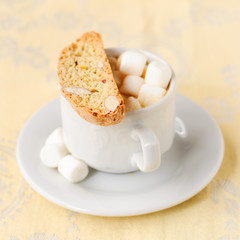 A Cup of Hot Chocolate with Pumpkin Biscotti
