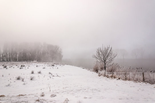 Mysterious foggy winter landscape on a very cold day