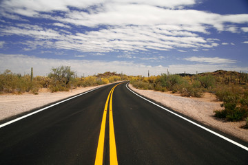 road in USA in the Organ Pipe National Monument, Arizona