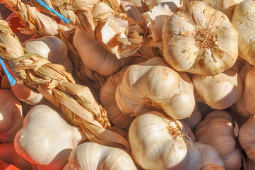 Garlic vegetable
